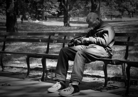 Central Park bench