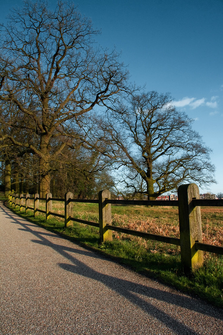 Path to the nature