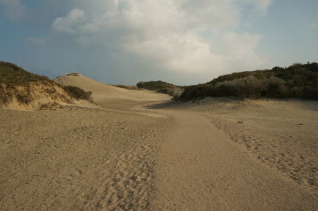 duinen