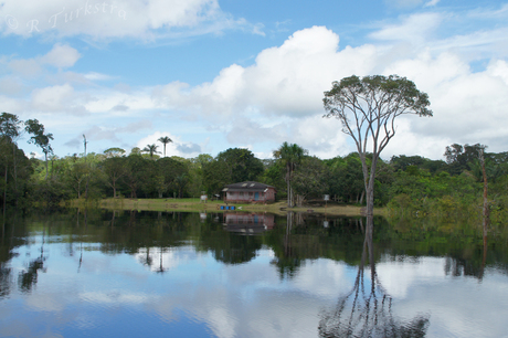 rio negro amazone