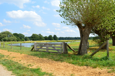 Gendringen op een zonnige dag