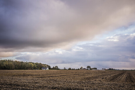 Groninger landschap