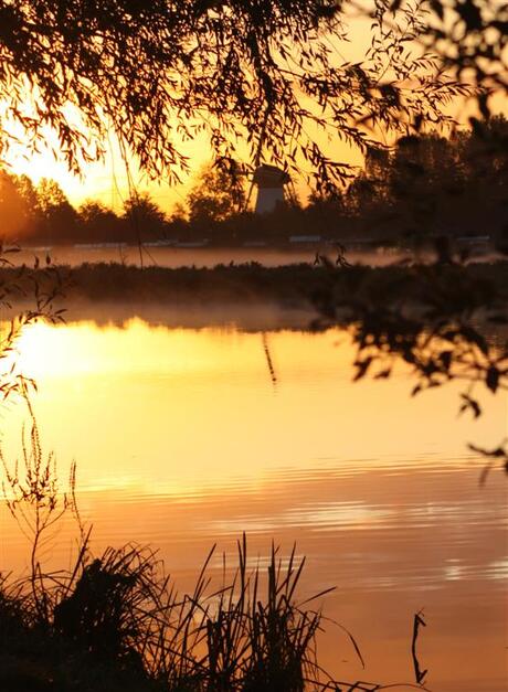 landschap in opkomende zon 15