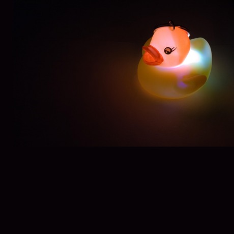 Lighting Duck