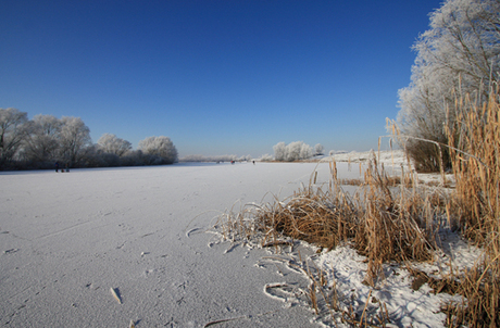 Winter langs Oude Waal 2