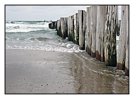 Golfbreker in Domburg (3)