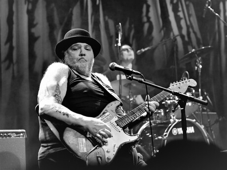 Popa Chubby in concert
