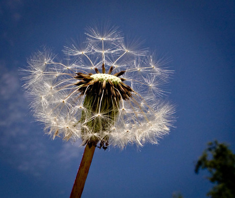 lekker in de zon...........................