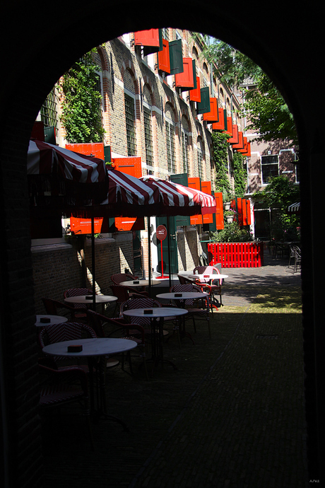 Terras 