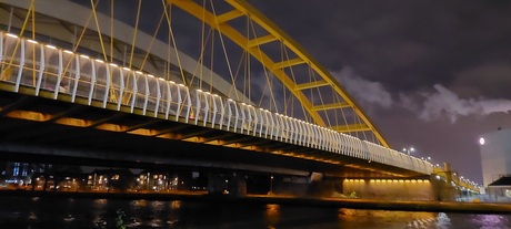 GELE BRUG