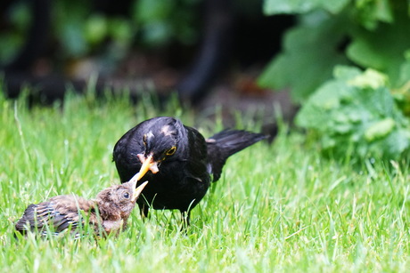 Intiem moment tussen vader en kind