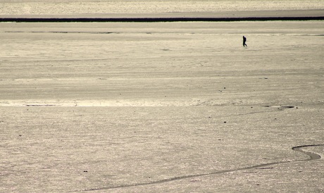 Eenzaam.................