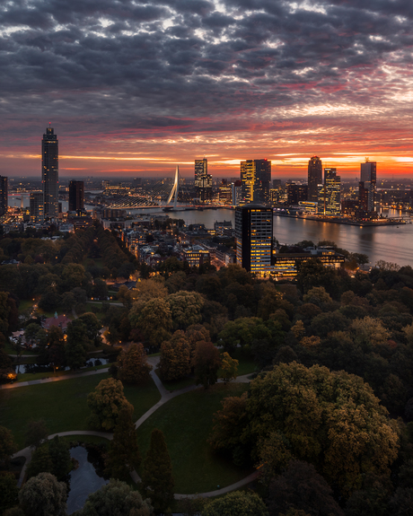 Rotterdam Sunrise 