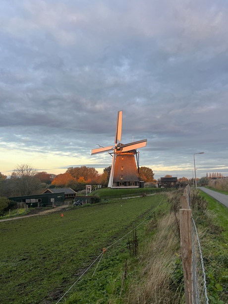 Molen bij Zonsopgang 