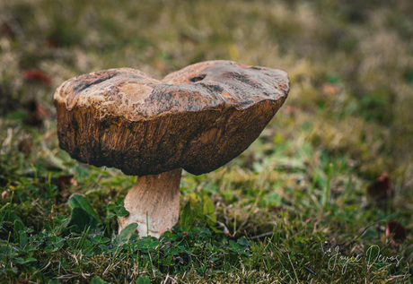 Een wereld onder de hoed