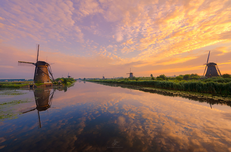 Zonsopkomst met Reflectie