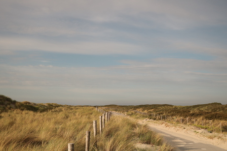duinen nabij arendsduin