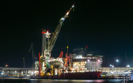 𝑺𝒆𝒗𝒆𝒏 𝑩𝒐𝒓𝒆𝒂𝒍𝒊𝒔