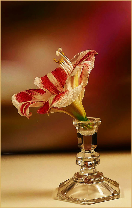 voor jullie.............................