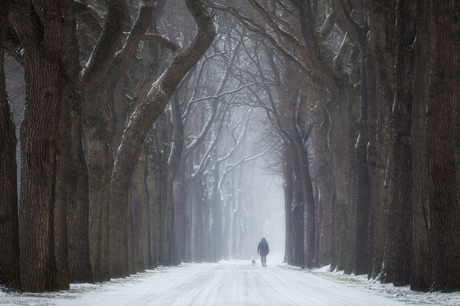 Winter Walk