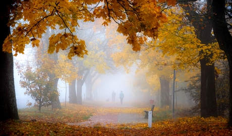 Een wandeling tussen het gefluister van de herfst