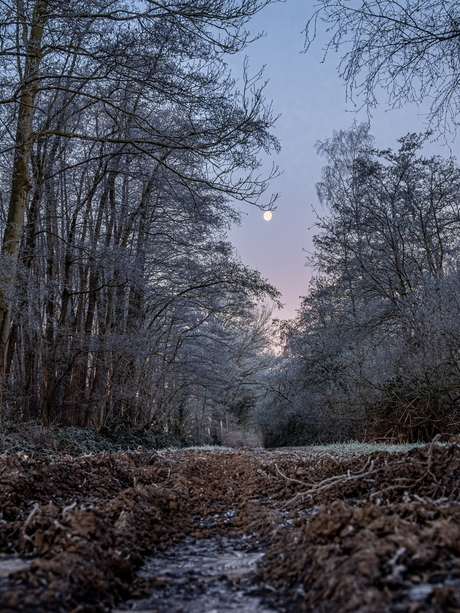 Late maan in de vroege ochtend