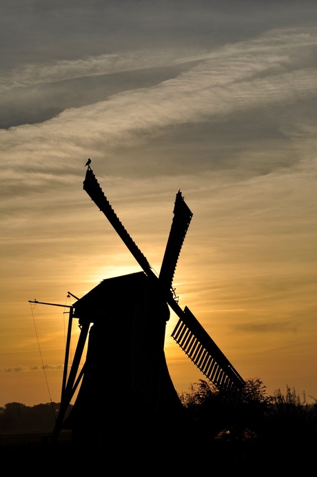 Molen.jpg