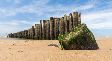 Nabij de Kerf. Tussen Bergen aan zee en Schoorl aan zee