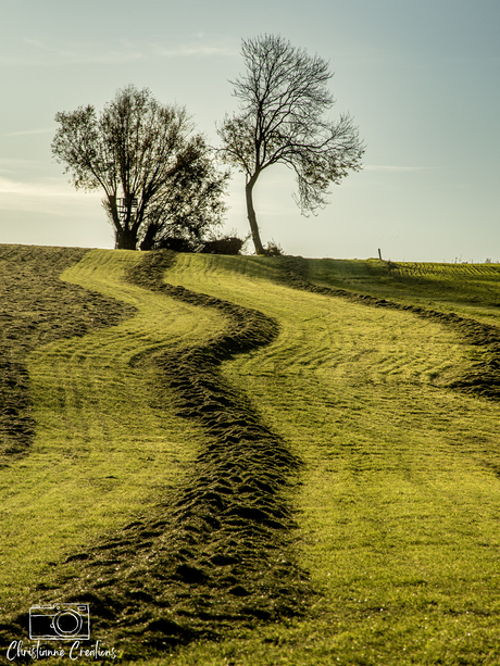 Slingerend gemaaid gras door het glooiende Zuid-Limburgse landschap 