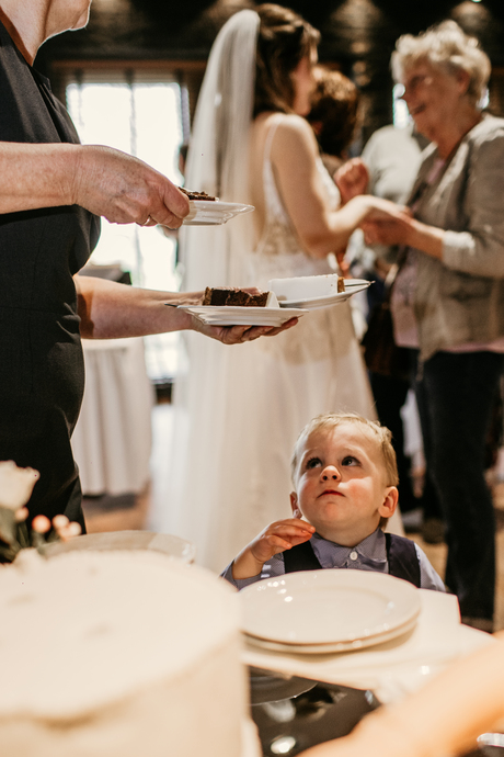 Cake