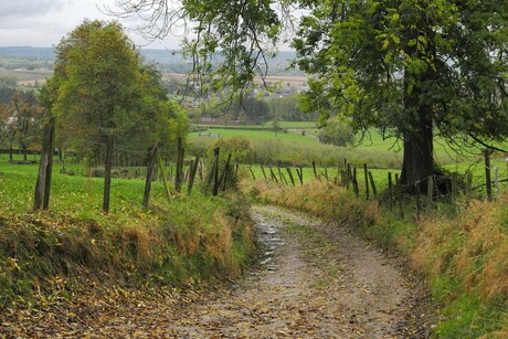 Limburg