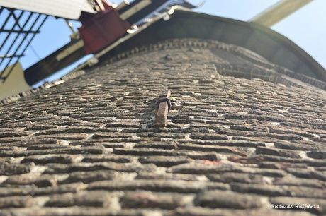 Detail Hompesche molen Stevensweert