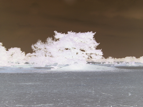 negative dunes