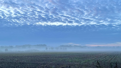 Grondmist en stratocumulus