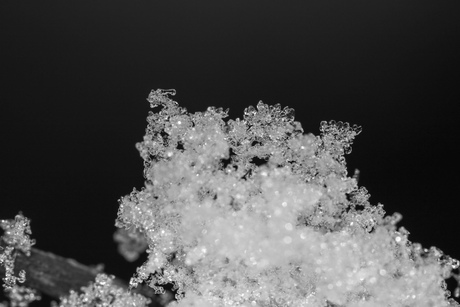 Sneeuwkristalletjes