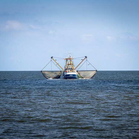 Vissersbootje op het wad