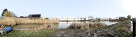P1300279   SNEL Pano   De Lier Hoefweg   Waterberging en Vogelplas  6 mrt 2026  