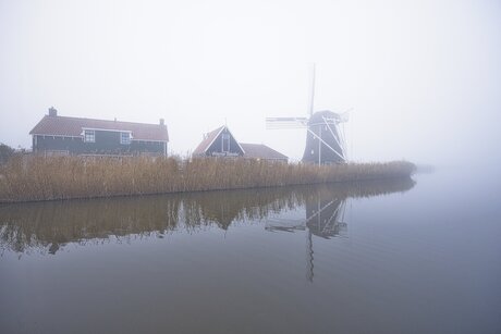 De Otter in de mist