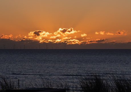 Sunset at Bergen aan Zee