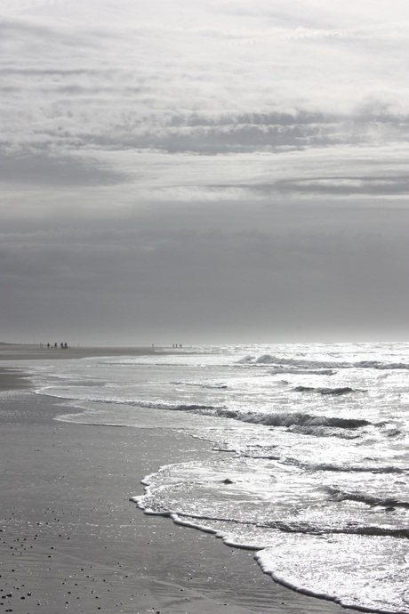 strand Texel