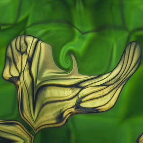 Abstract 