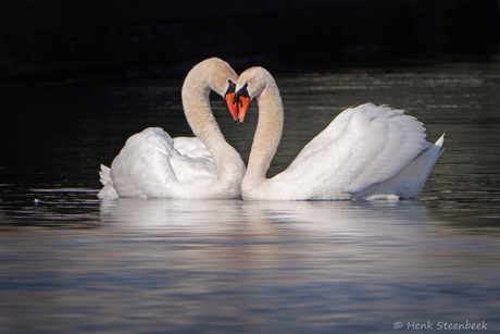 Romantiek na overwinning