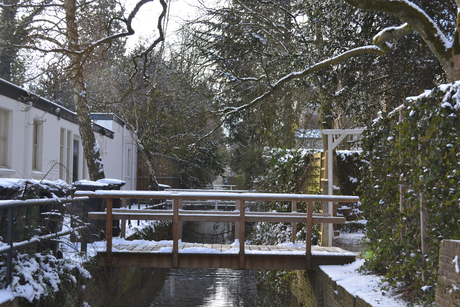 oud zeist onder sneeuw