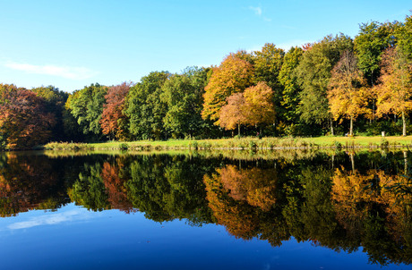 Haagse Bos met haar herfstkleuren