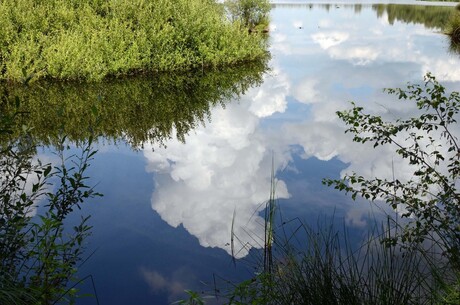 weerspiegeling