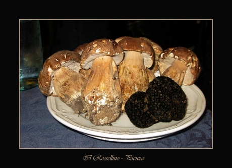 funghi porcini e tartufo