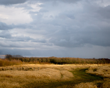 Onderweg is het leven mooi