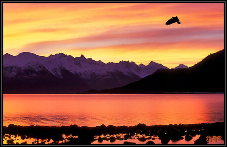 Sunset at Haines