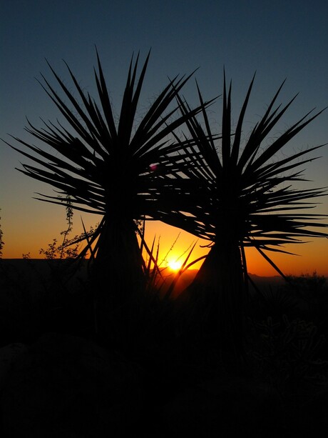 Sunset in Providence Mountains SRE