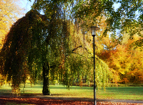 herfst tafereel lomo